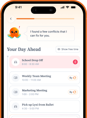 Ohai daily plan on phone
